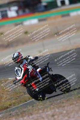 media/May-09-2022-Moto Forza (Mon) [[0226cf3505]]/Group B/B 920am/